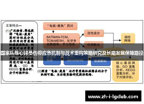 国家队核心球员伤停应急机制与战术重构策略研究及长期发展保障路径